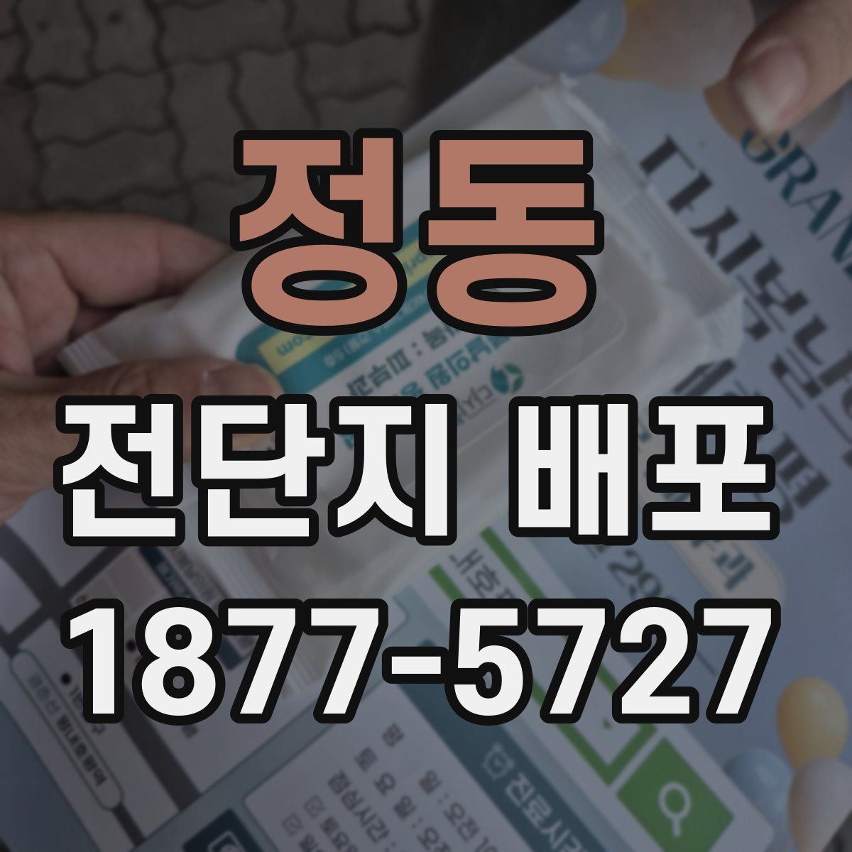 정동 전단지 배포