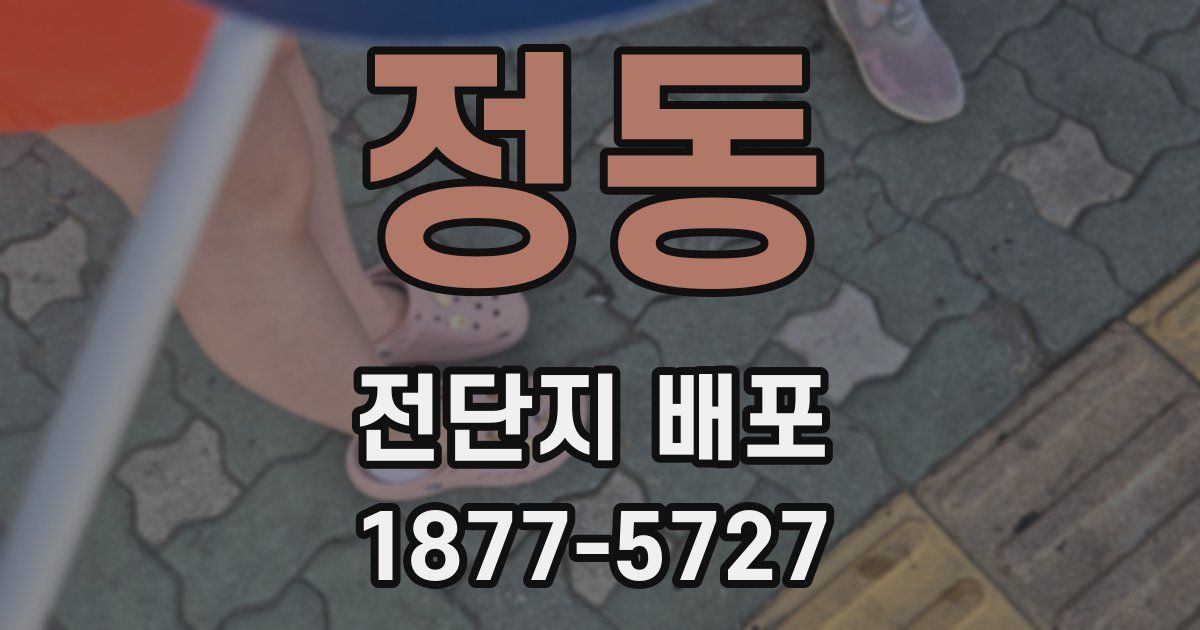 정동 전단지 배포