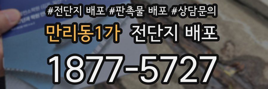 만리동1가 전단지 배포
