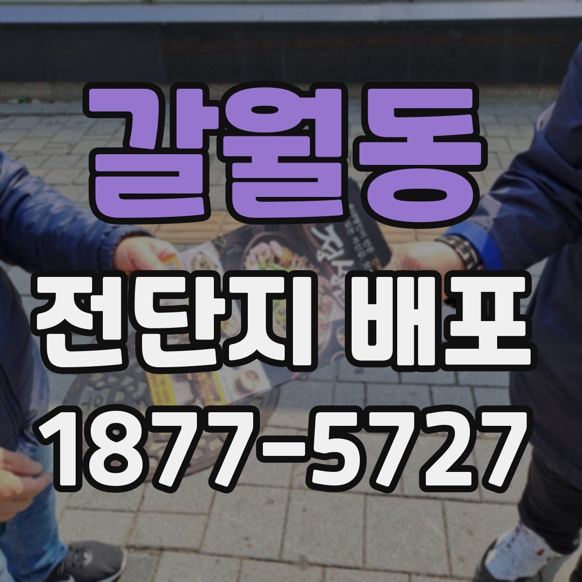 갈월동 전단지 배포