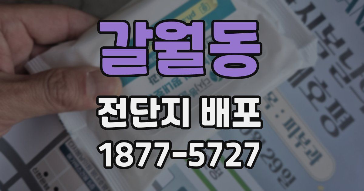 갈월동 전단지 배포