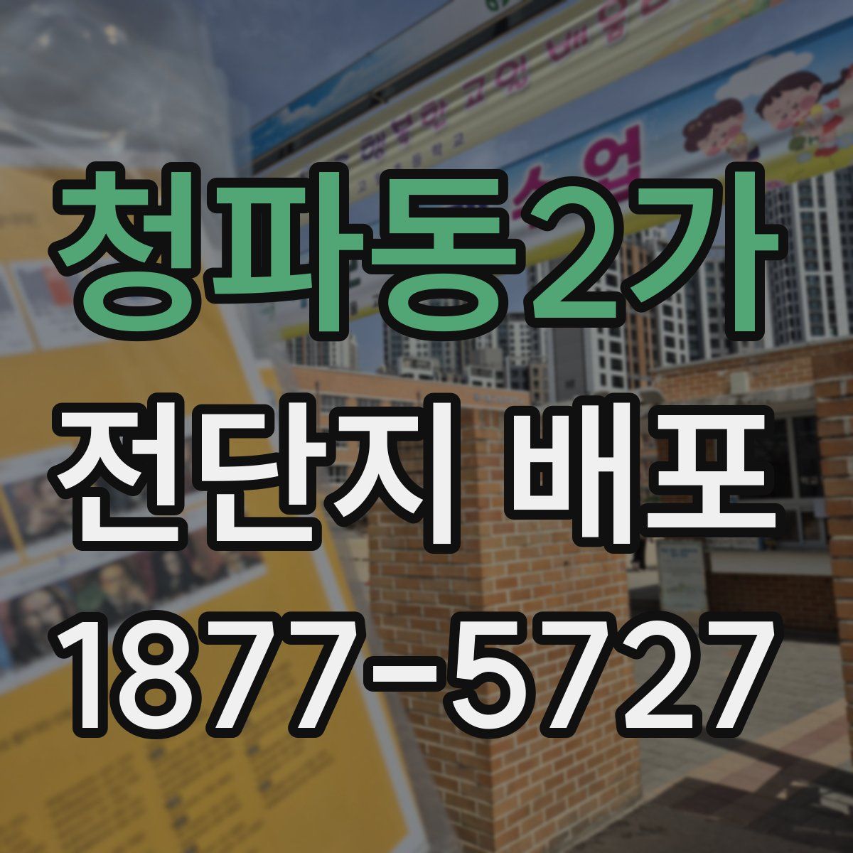 청파동2가 전단지 배포