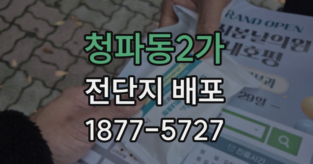 청파동2가 전단지 배포