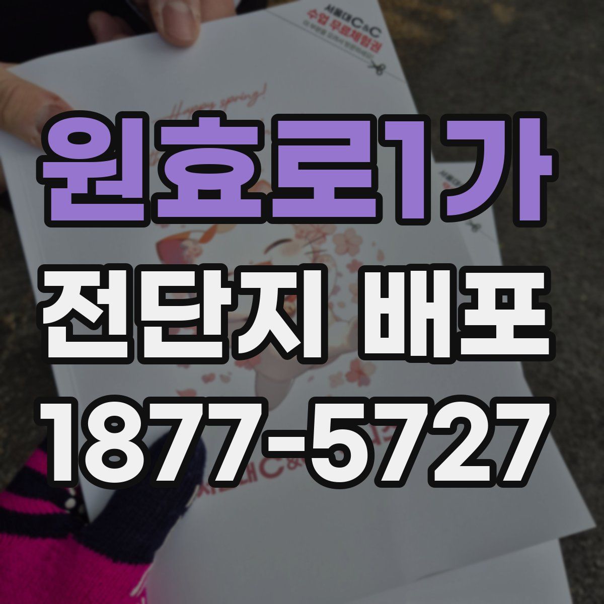원효로1가 전단지 배포
