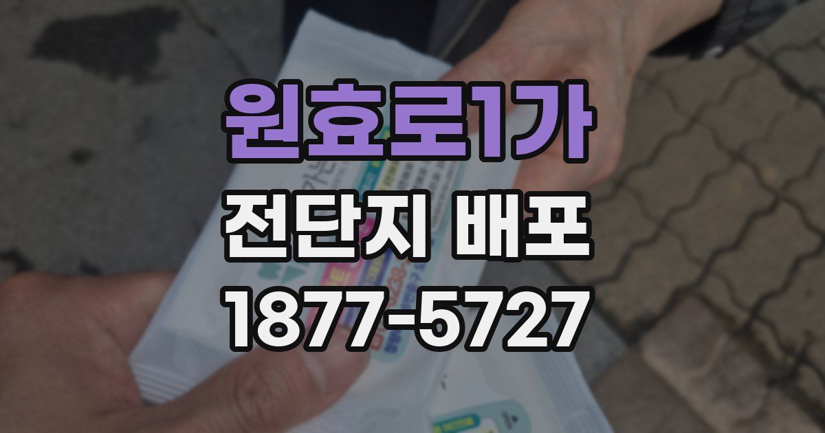 원효로1가 전단지 배포