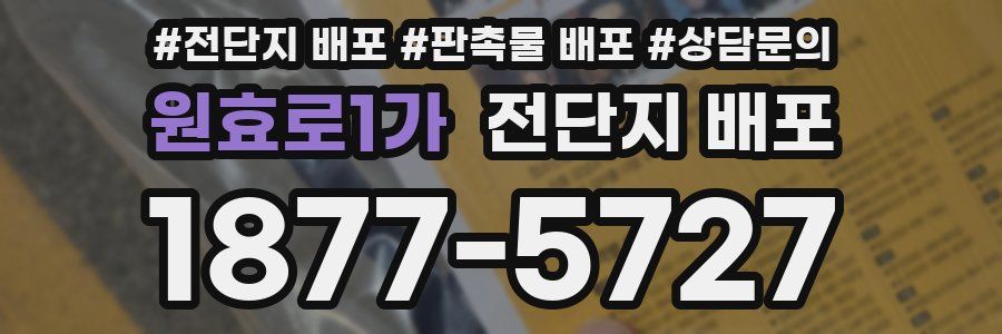 원효로1가 전단지 배포