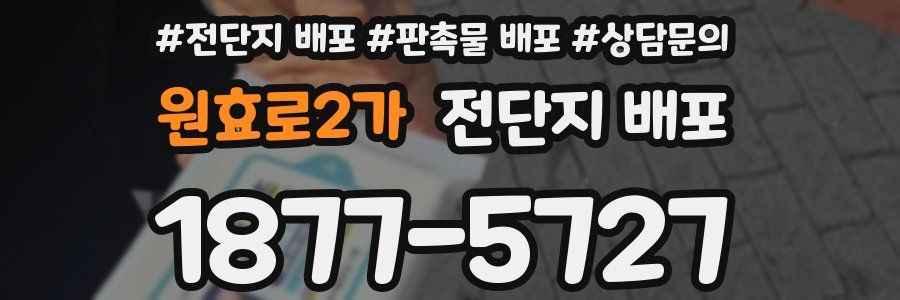 원효로2가 전단지 배포