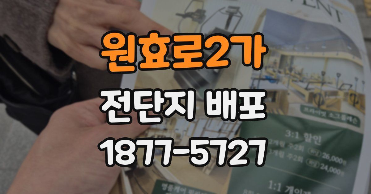 원효로2가 전단지 배포