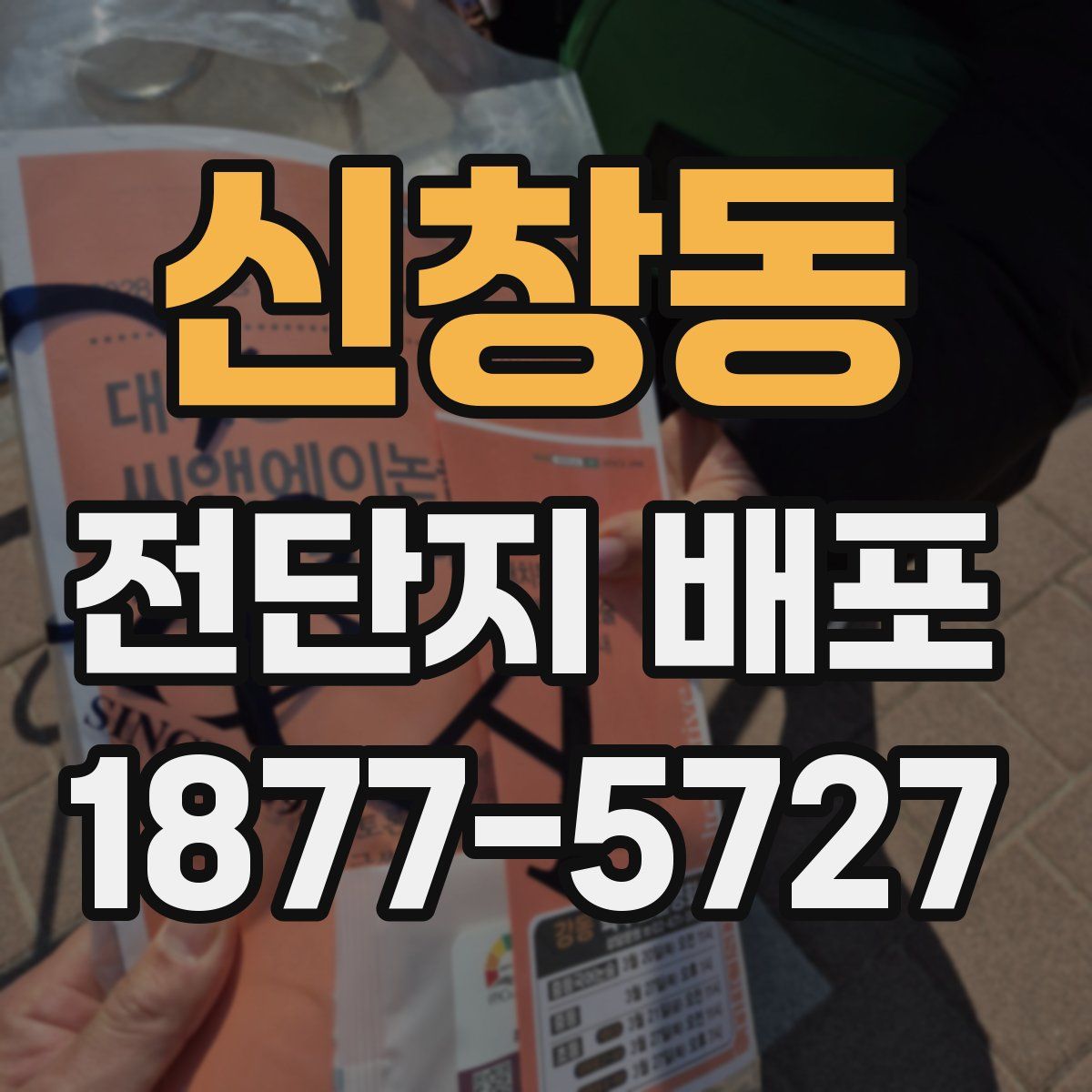 신창동 전단지 배포