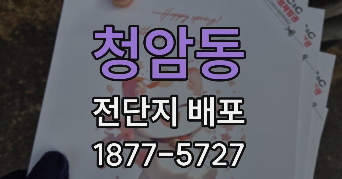 청암동 전단지 배포