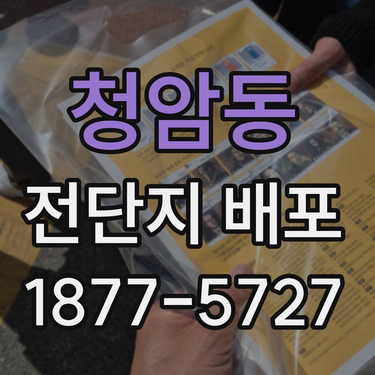 청암동 전단지 배포