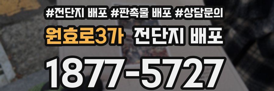 원효로3가 전단지 배포