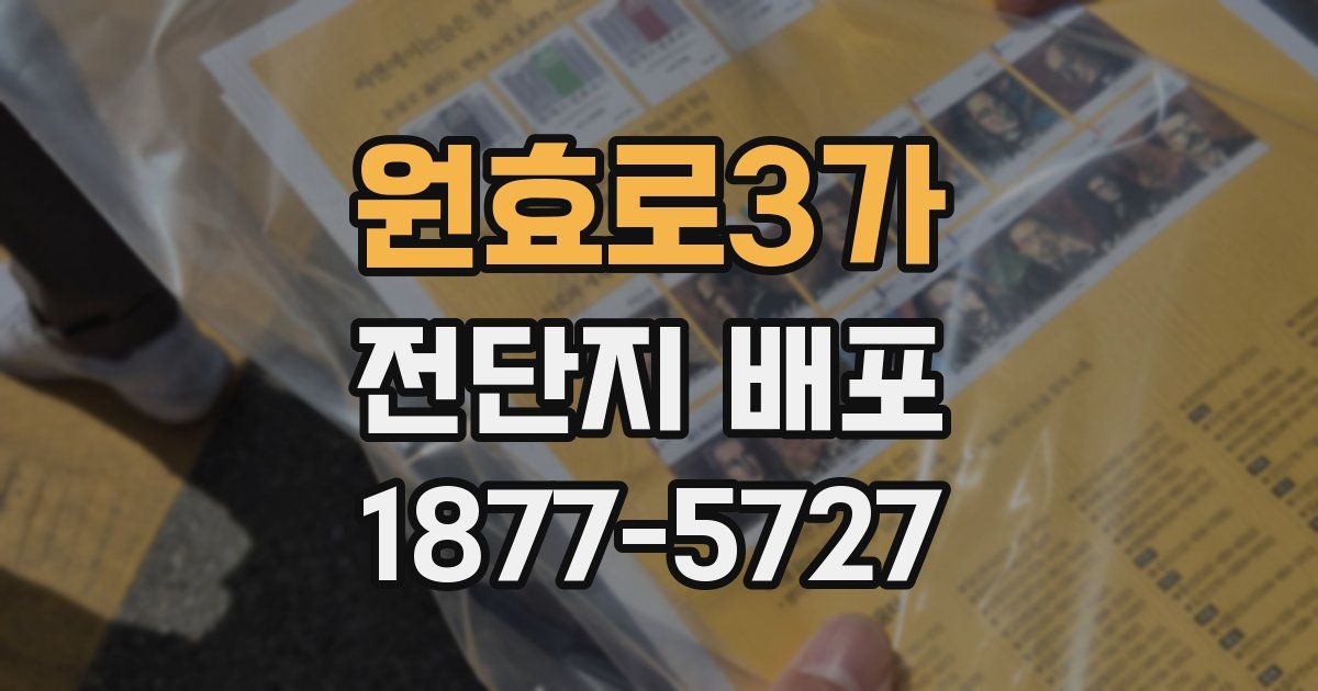 원효로3가 전단지 배포