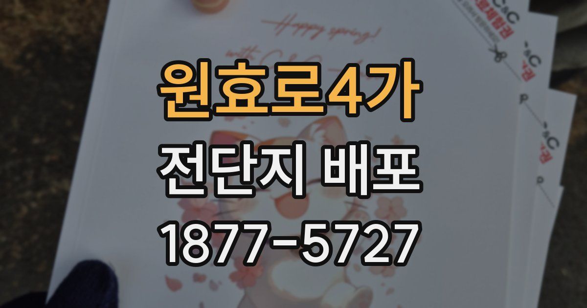 원효로4가 전단지 배포