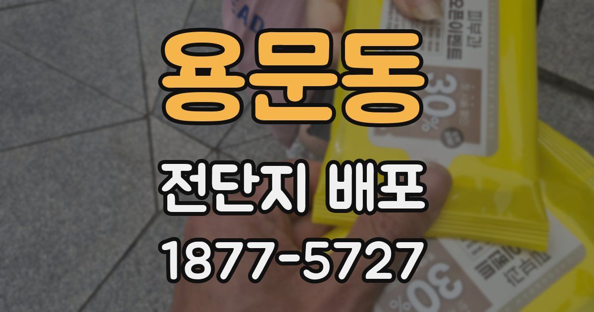 용문동 전단지 배포