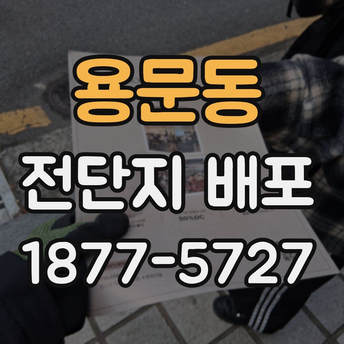 용문동 전단지 배포