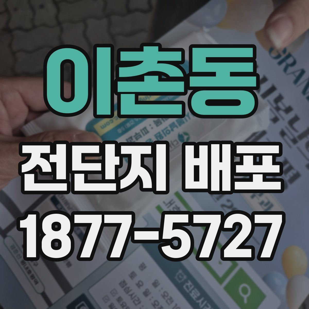 이촌동 전단지 배포