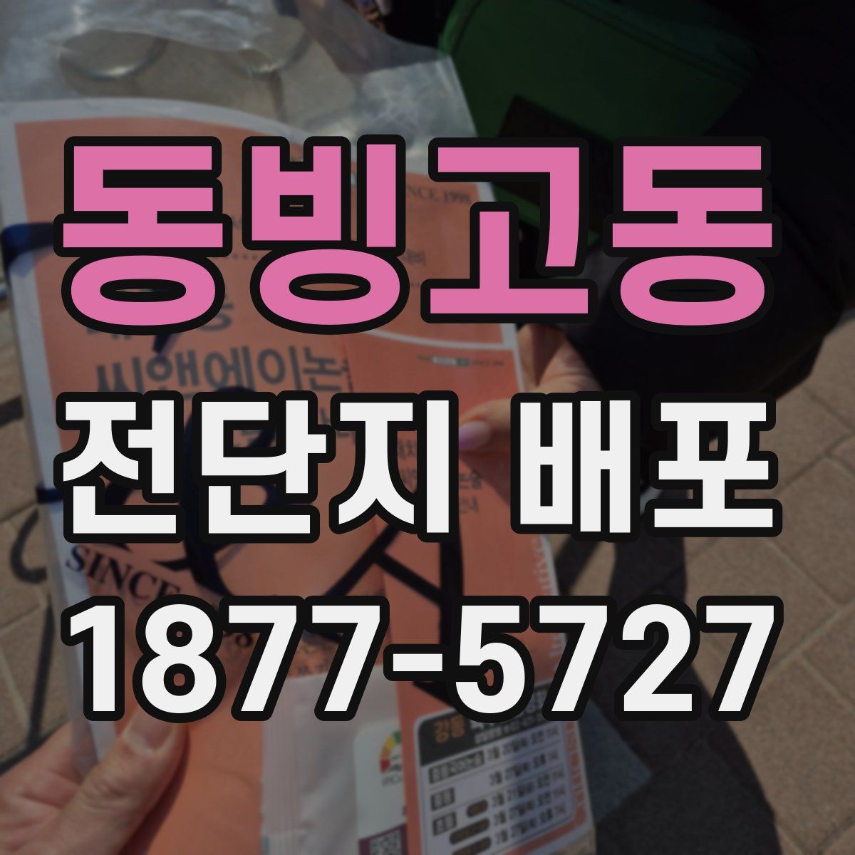 동빙고동 전단지 배포