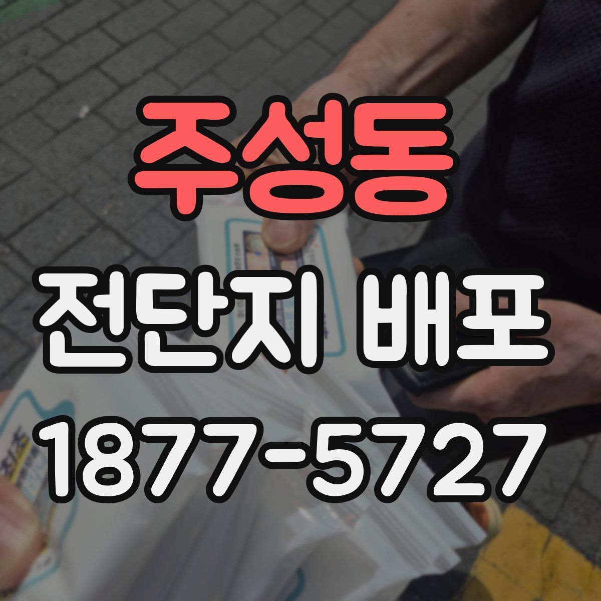 주성동 전단지 배포