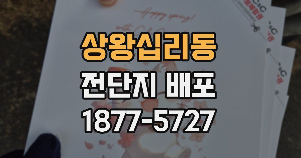 상왕십리동 전단지 배포