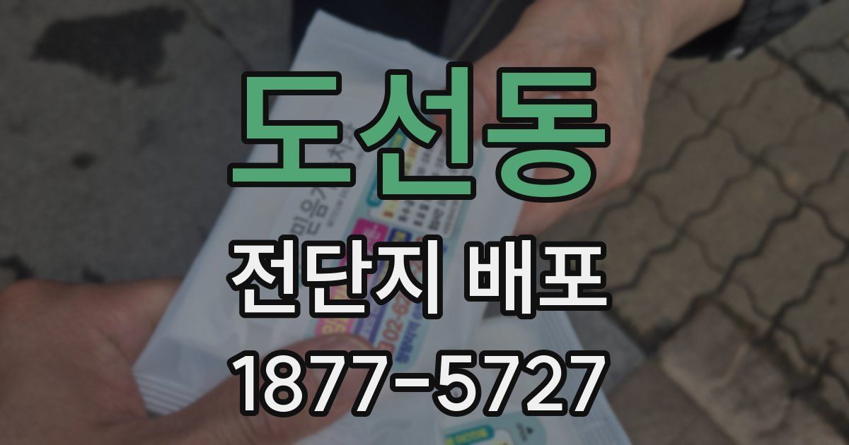 도선동 전단지 배포