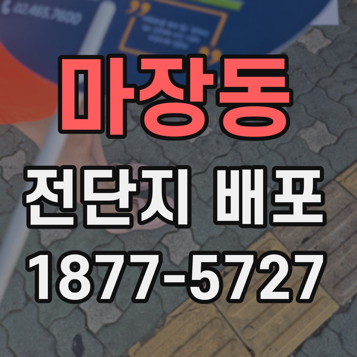 마장동 전단지 배포