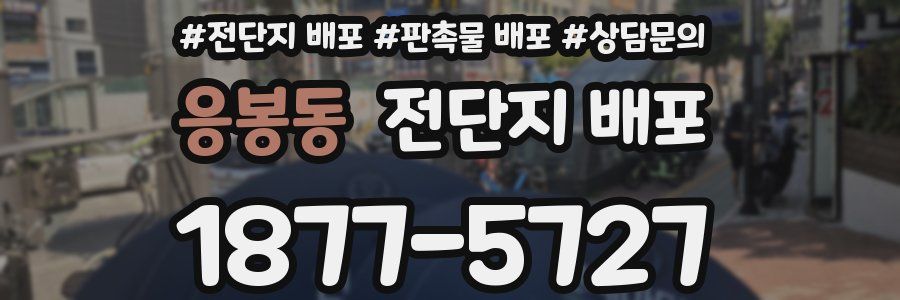 응봉동 전단지 배포