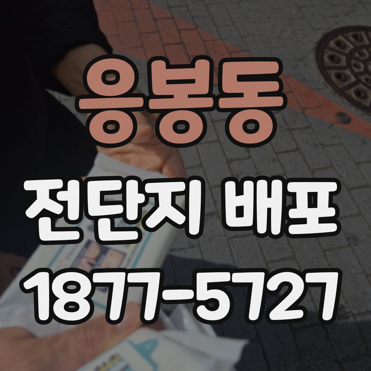 응봉동 전단지 배포