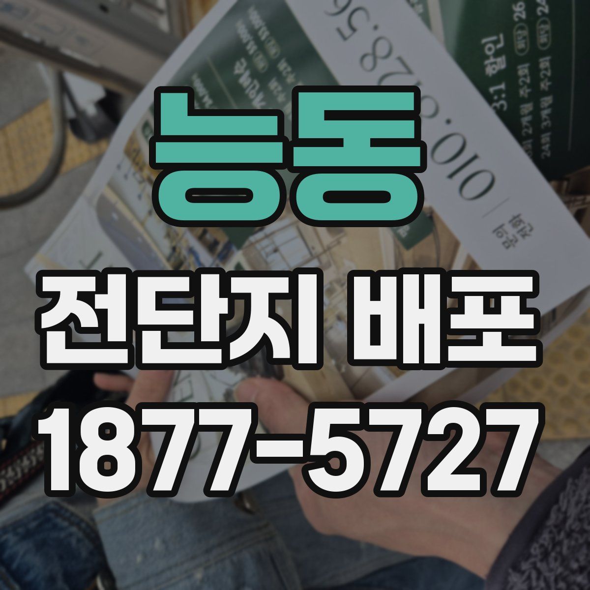 능동 전단지 배포