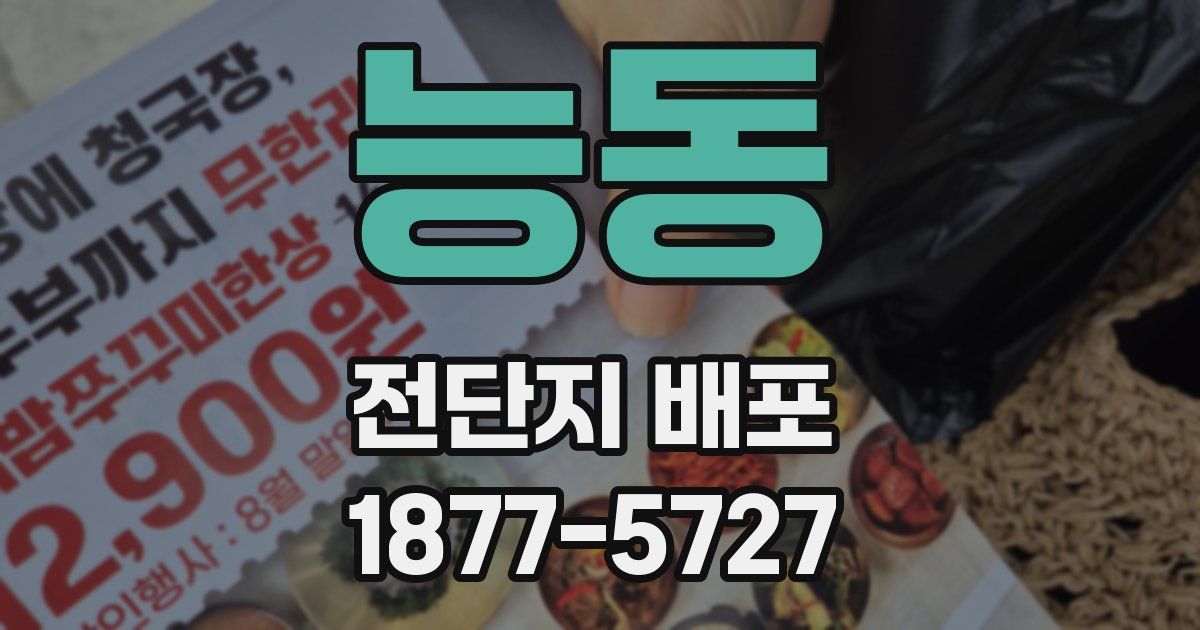 능동 전단지 배포