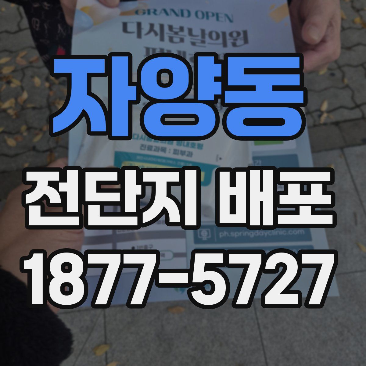 자양동 전단지 배포