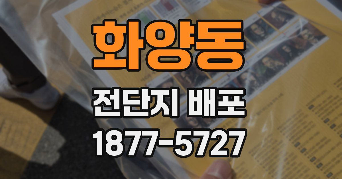 화양동 전단지 배포