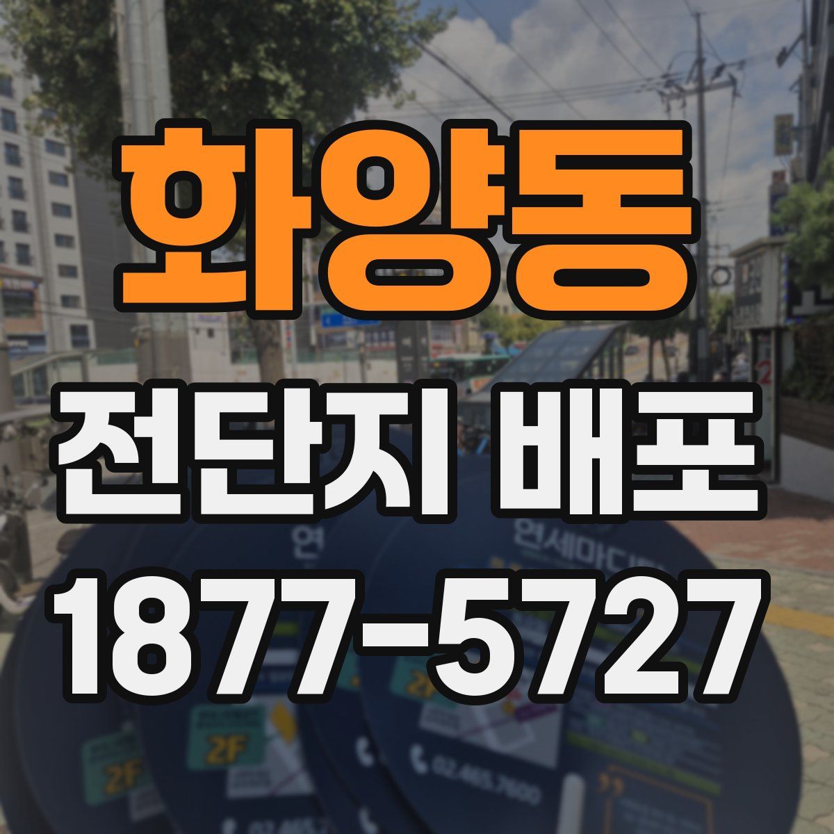 화양동 전단지 배포