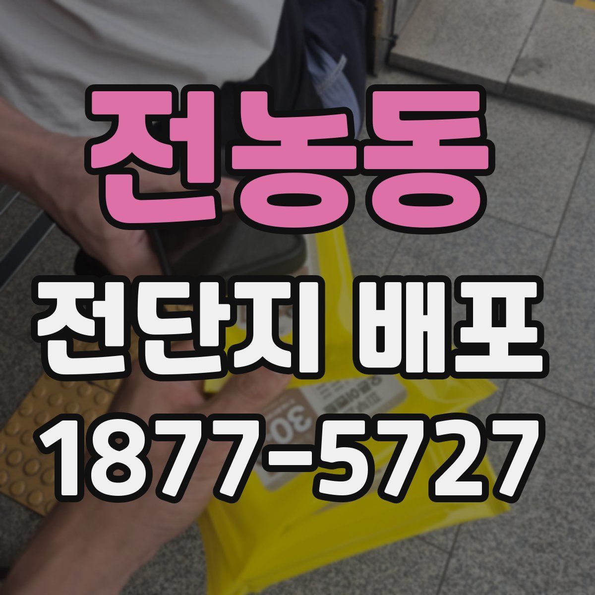 전농동 전단지 배포