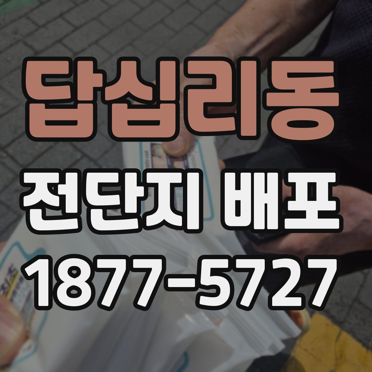 답십리동 전단지 배포