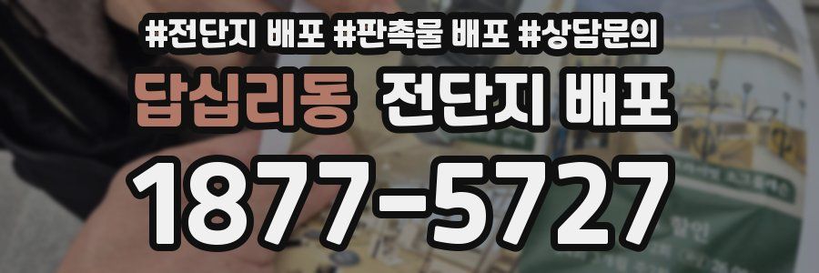 답십리동 전단지 배포