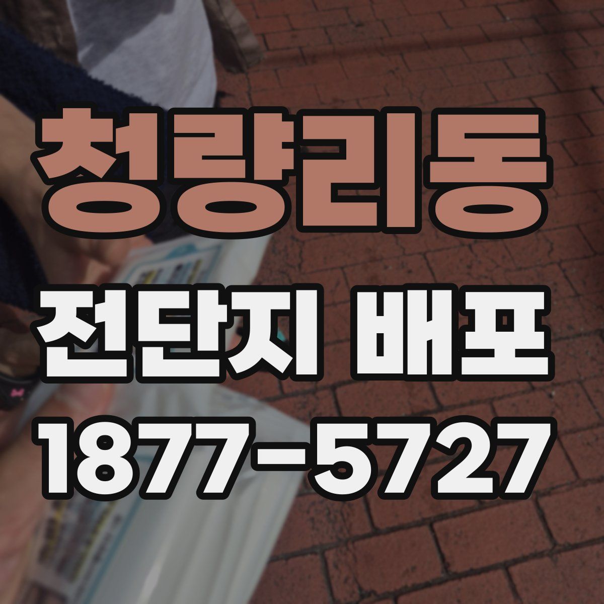 청량리동 전단지 배포