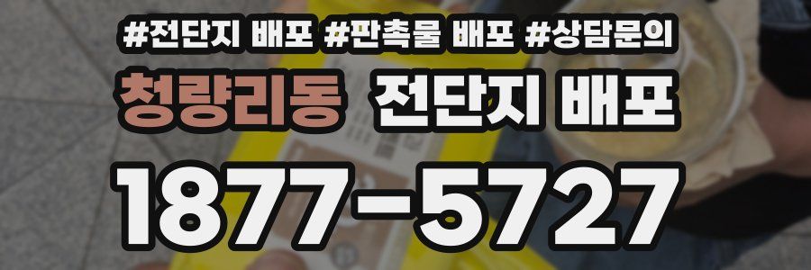 청량리동 전단지 배포