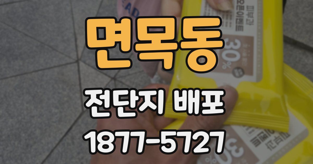 면목동 전단지 배포