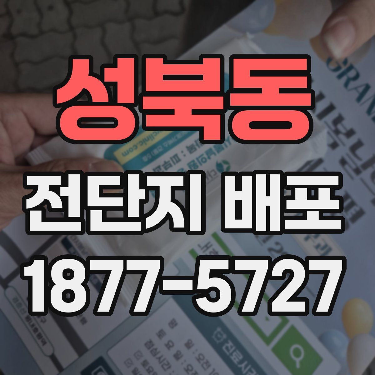 성북동 전단지 배포