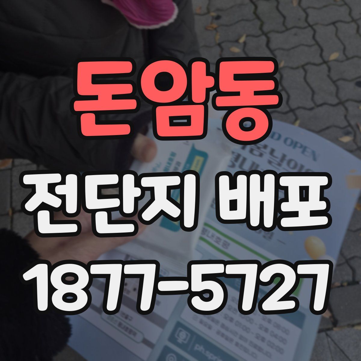 돈암동 전단지 배포
