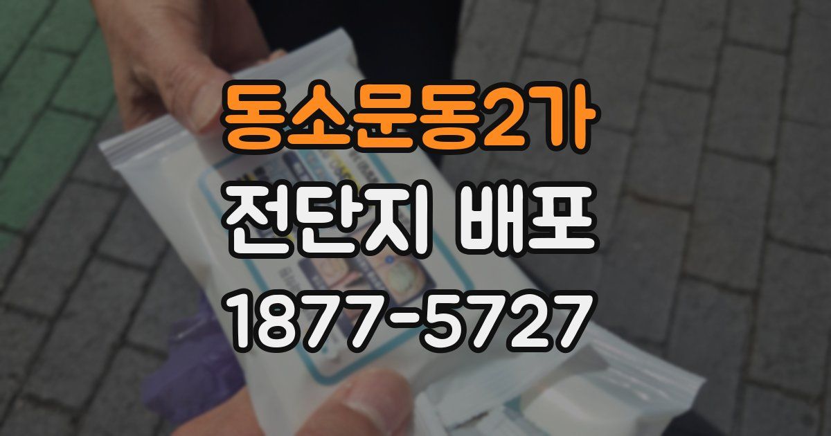 동소문동2가 전단지 배포