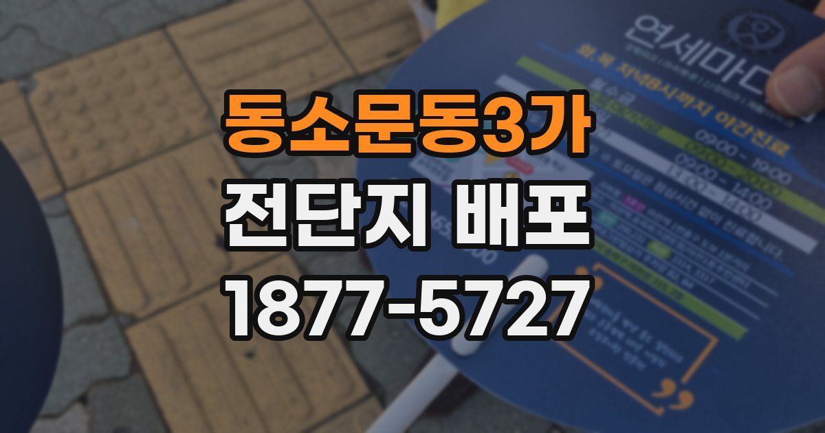 동소문동3가 전단지 배포