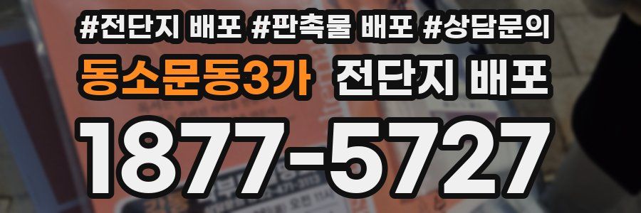 동소문동3가 전단지 배포