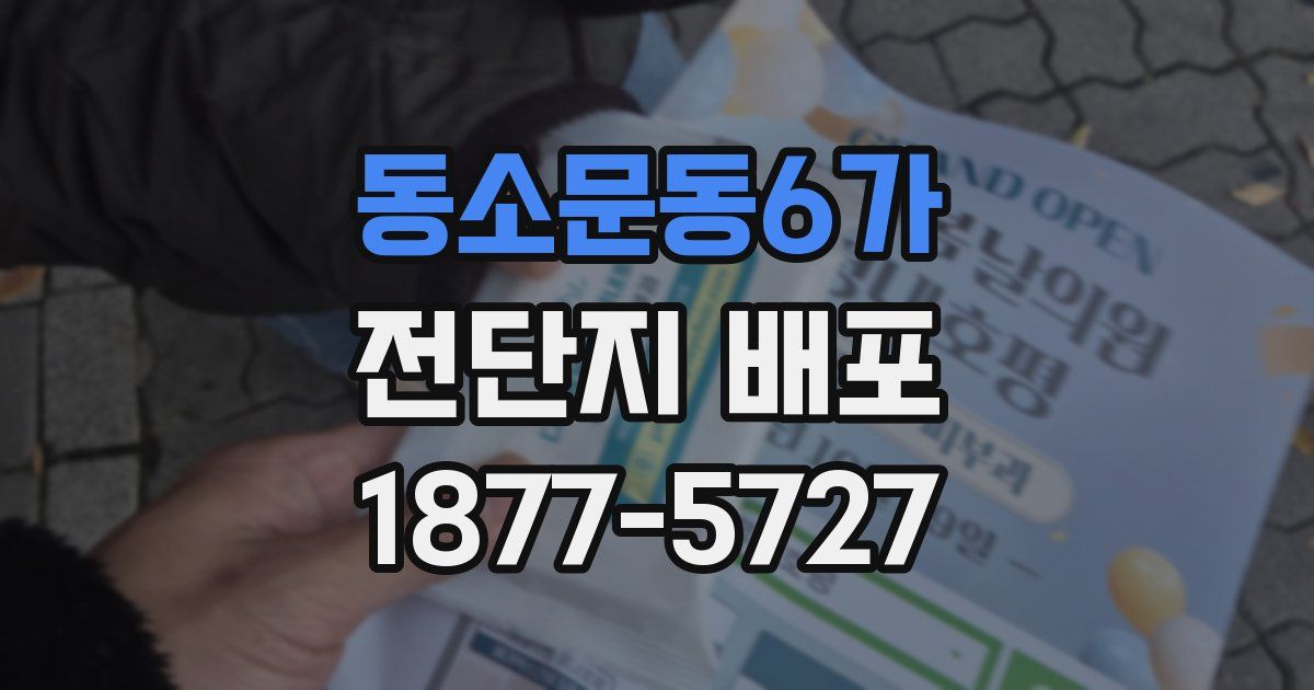 동소문동6가 전단지 배포