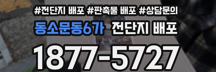 동소문동6가 전단지 배포