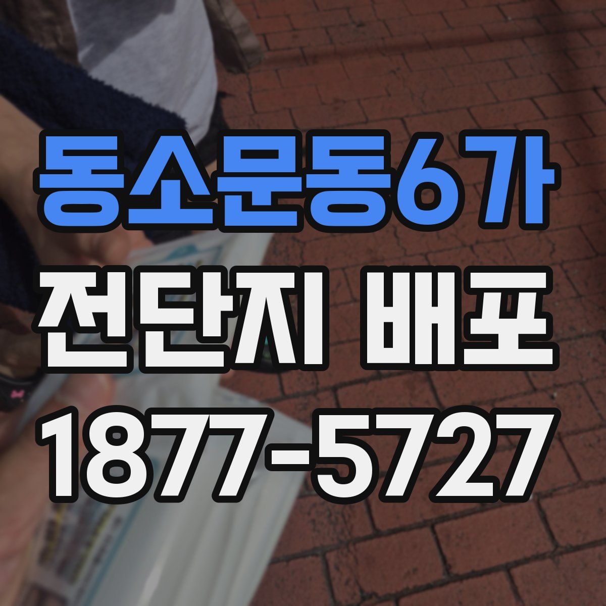 동소문동6가 전단지 배포