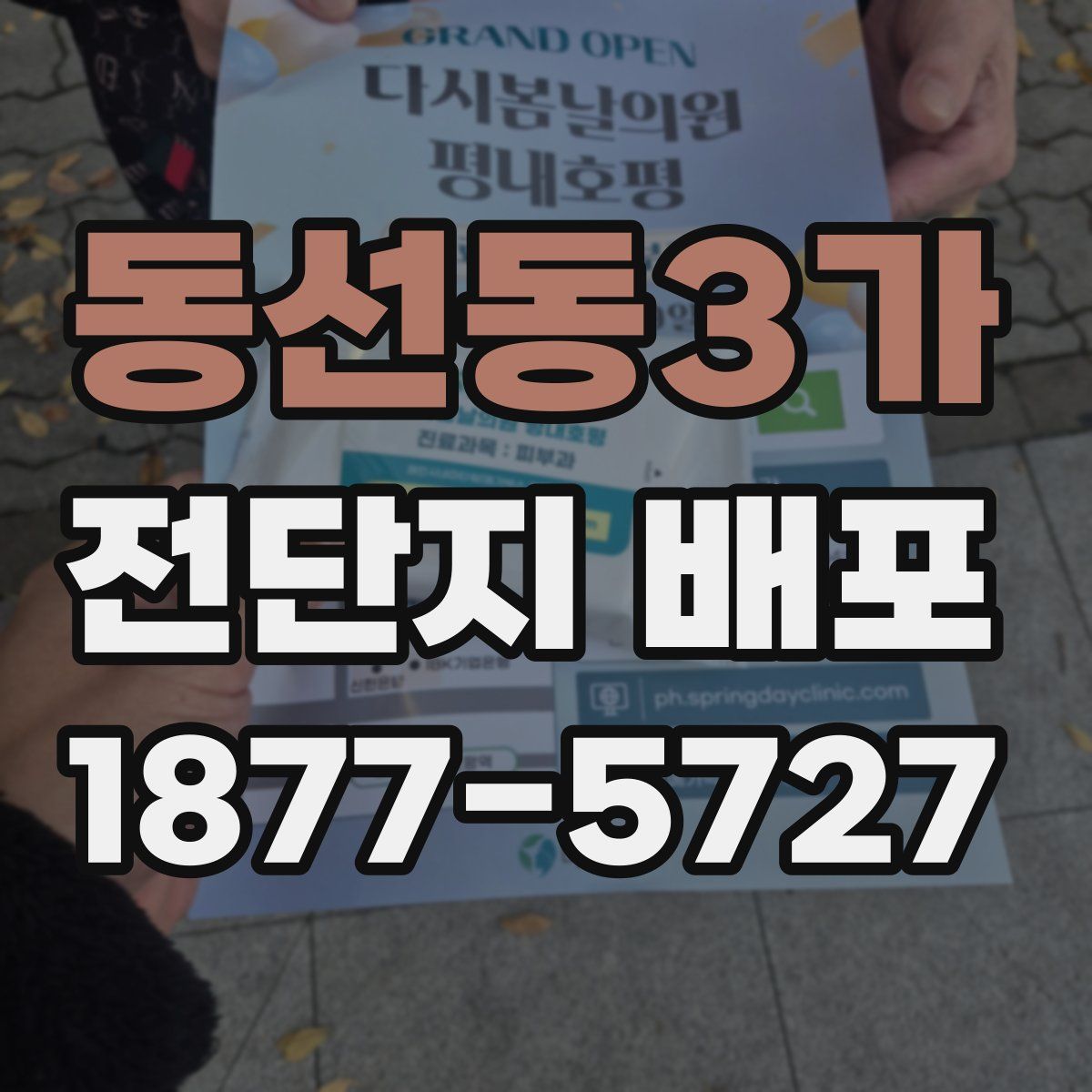 동선동3가 전단지 배포