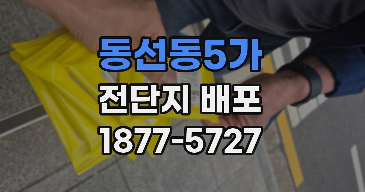 동선동5가 전단지 배포
