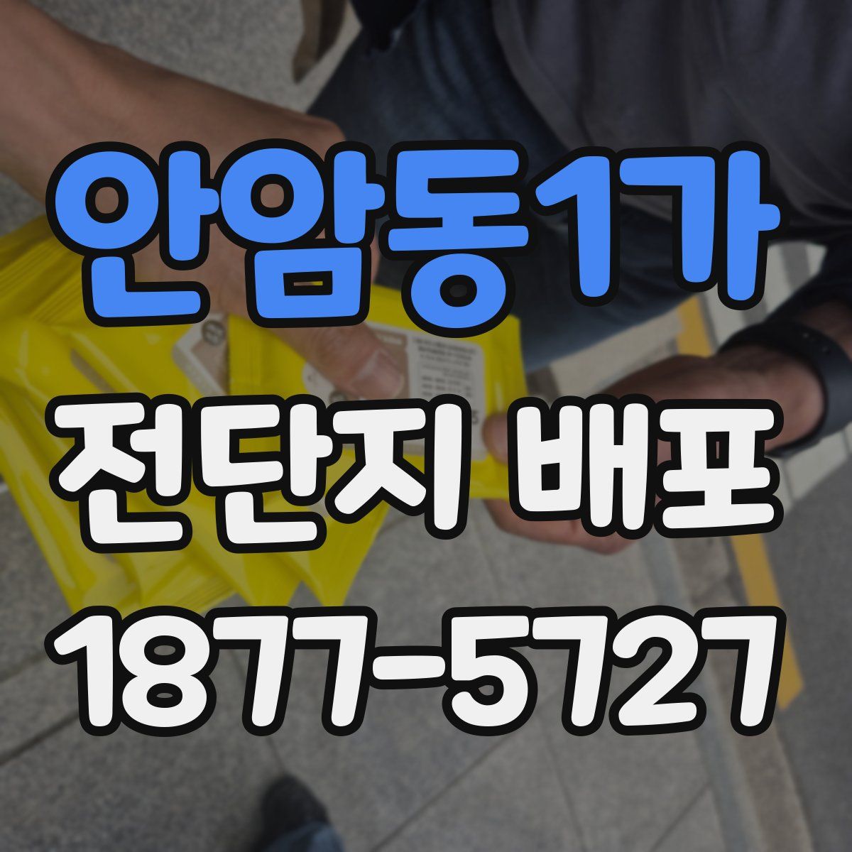 안암동1가 전단지 배포